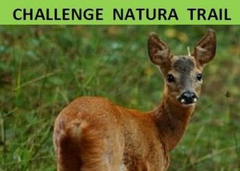 Course nature et trail : Challenge Natura Trail 78