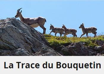 Trace du Bouquetin Trace du Bouquetin
