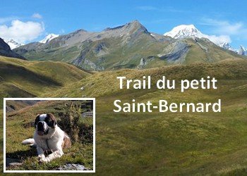 Trail du petit Saint-Bernard