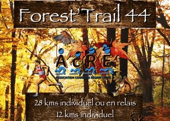 Forest Trail 44 Forest Trail 44