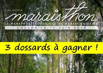 3 dossards Marathon du Marais Poitevin 2018 (Deux Sèvres)