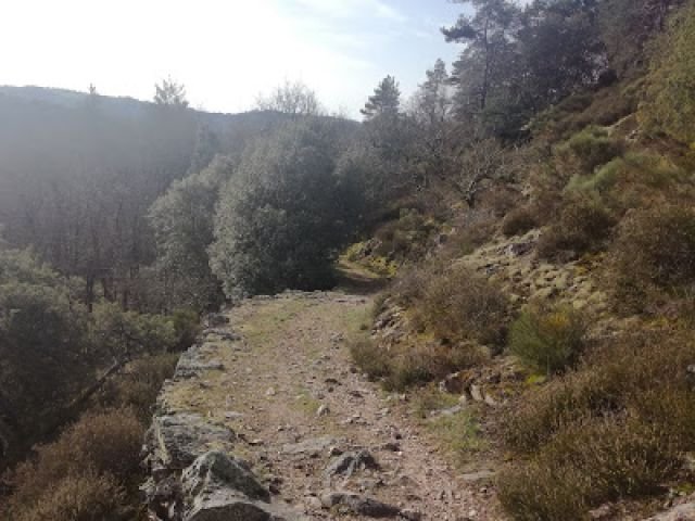 X-Kern Trail