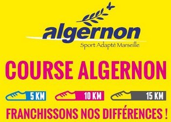 Course Algernon