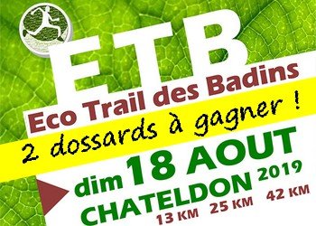 2 dossards Eco trail des badins 2019 (Puy de Dôme)