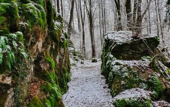 Trail des Chevaliers