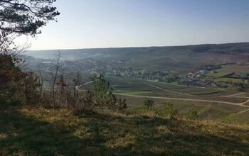 Trail d'Avize