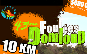 10km Foulées de Domloup