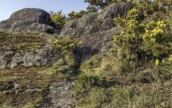 Trail du Geant