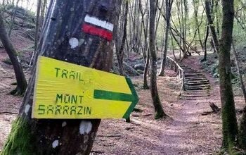 Trail du Mont Sarrazin