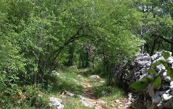 Trail de la Braunhie