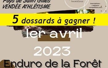 5 dossards Enduro de la Forêt 2023 (Vendée)