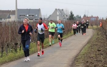 Courses de Wintzenheim