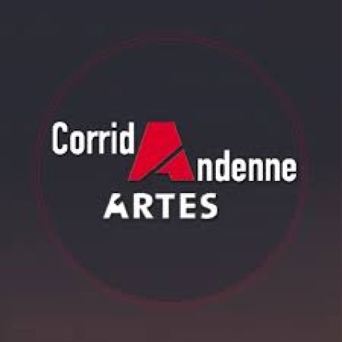 Corrida Artes Andenne