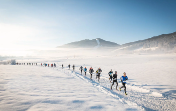 Trail Hivernal du Vercors