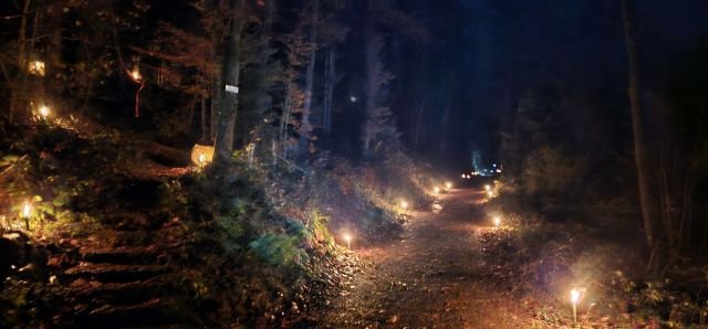 Fluo Night Trail