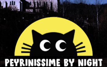 Peyrinissime by Night
