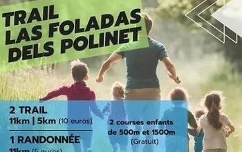 las foladas dels polinets