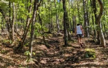 Trail de la Mine