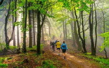 Trail Passe Partout Triouzoune