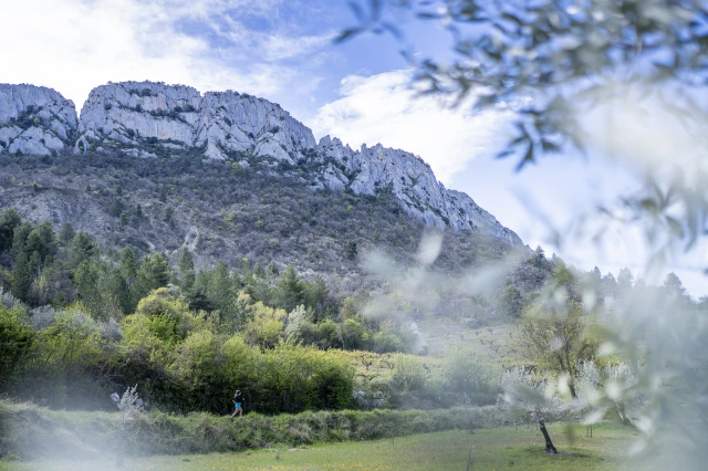 Trail Drôme