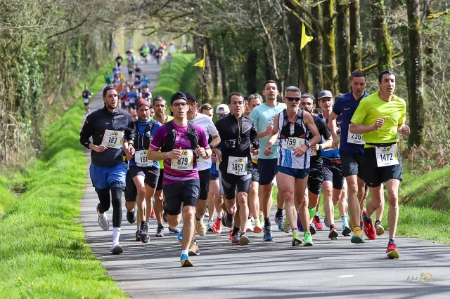 Semi-marathon du Massif Forestier