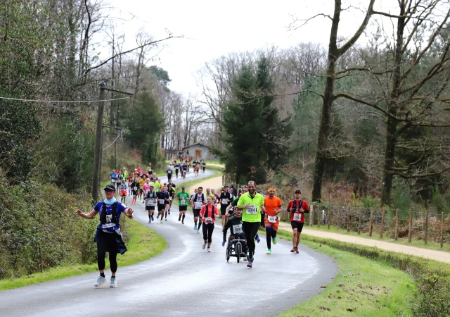 Semi-marathon du Massif Forestier