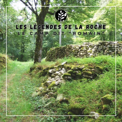 Course nature de la Montagne de la Roche