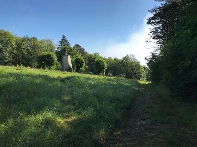 Course nature de la Montagne de la Roche
