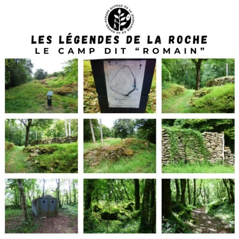 Course nature de la Montagne de la Roche