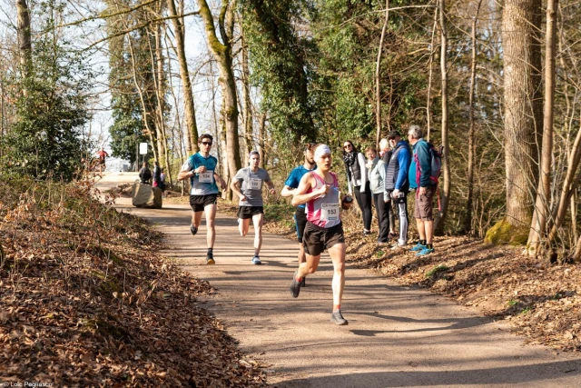 Trail des Terroirs Vosgiens et ses randos gourmandes