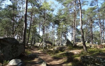 Trail des Carriers