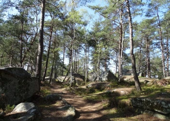Trail des Carriers 2027, Fontainebleau (Seine et Marne)