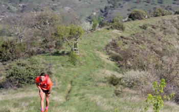 TRAIL DE JULIAU