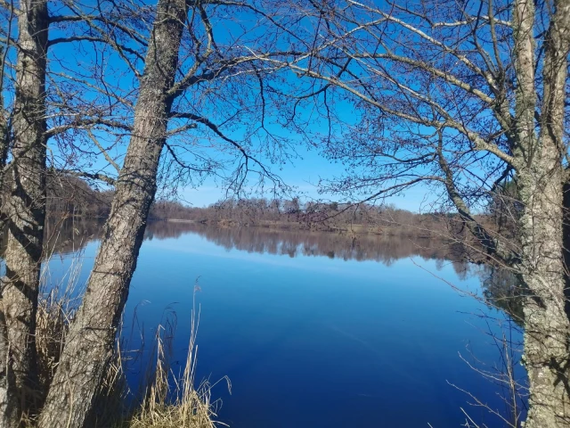 Trail des 2 sirènes de l'étang Neuf