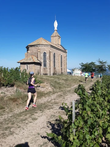 Trail des Foulées Beaujolaises