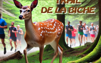 Trail de la Biche