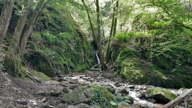 Forestière de Saint Alban