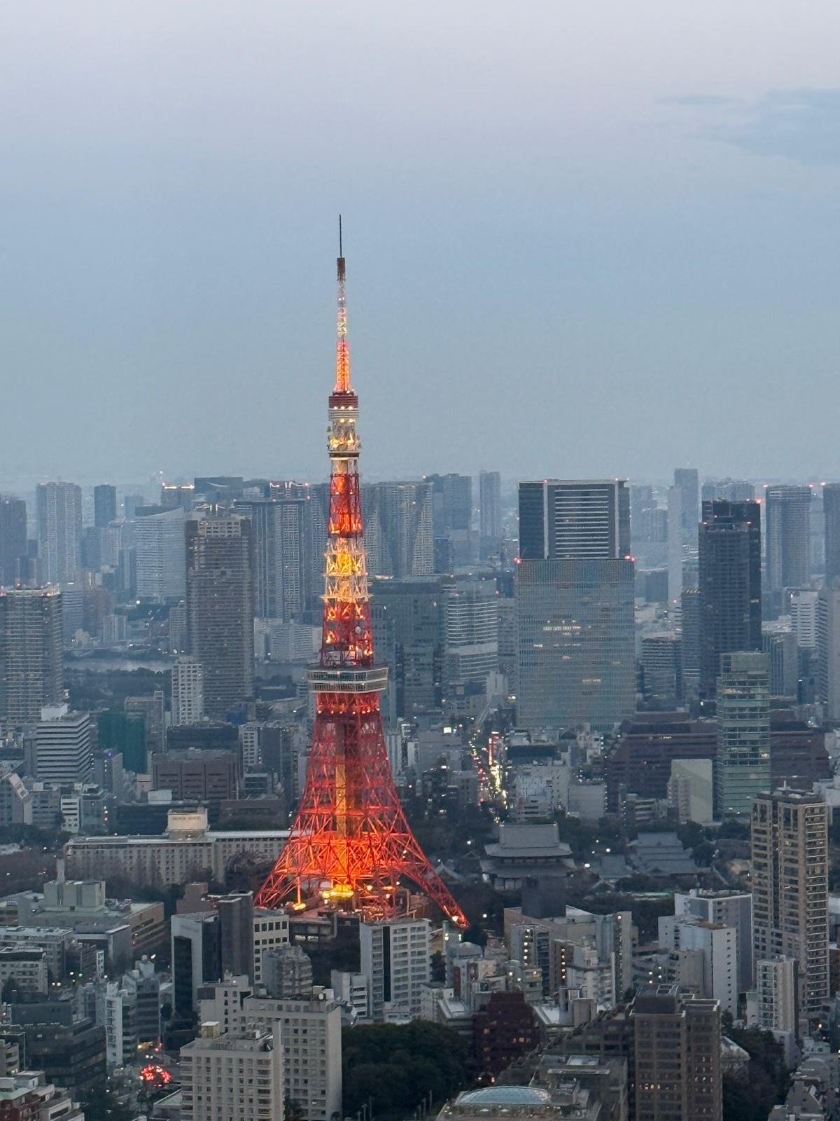 Marathon de Tokyo 2025, récit de Bertrand