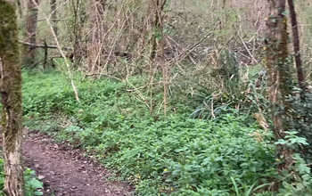 Trail et randonnée pédestre de la Saint-jean