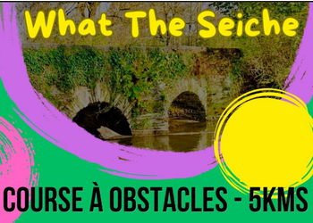 What The Seiche 2027, course à obstacles, Amanlis (Ille et Vilaine)