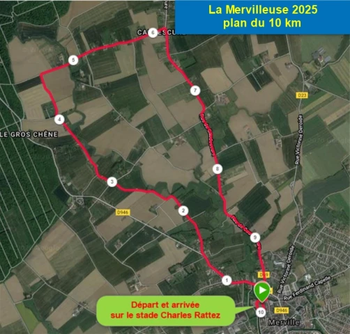 Mervilleuse