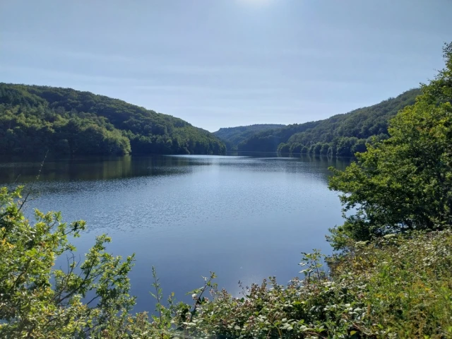 Trails de l'Estivale