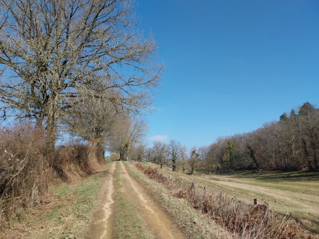 Trails de l'Estivale