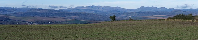 Trail des Yrondelles