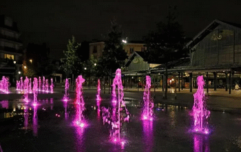 Garenne en Rose