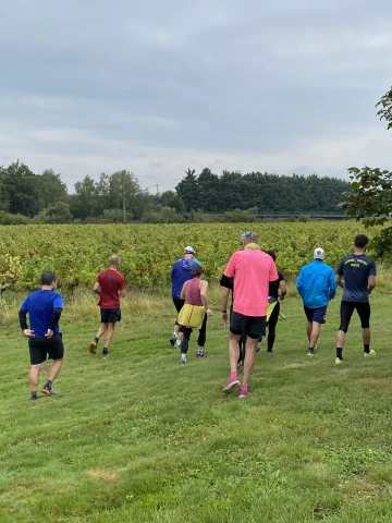 Trail des vendanges