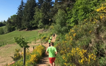Trail du ronzey