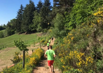 Trail du ronzey 2026, Yzeron (Rhône)