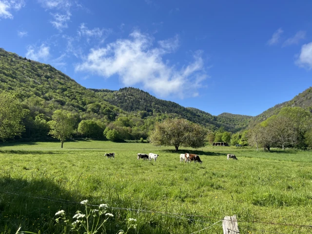 Sauv'Trail Sauv'Trail