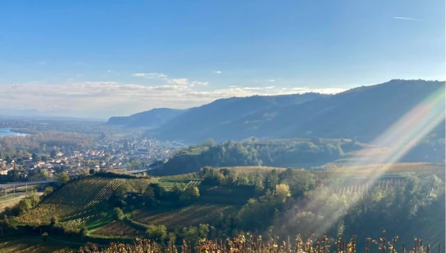 Trail du Sou de Tournon Trail du Sou de Tournon